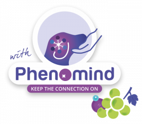 phenomind